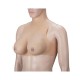 Silicone Breast Torso Zipper Back D Cup