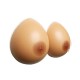 Silicone Breasts Forms Classic Shape In Pairs