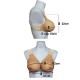 Breast Silicone Lifelike affordable