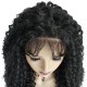 Curly brown lace front long wig