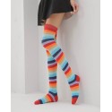 Multi Colors Knee High Socks