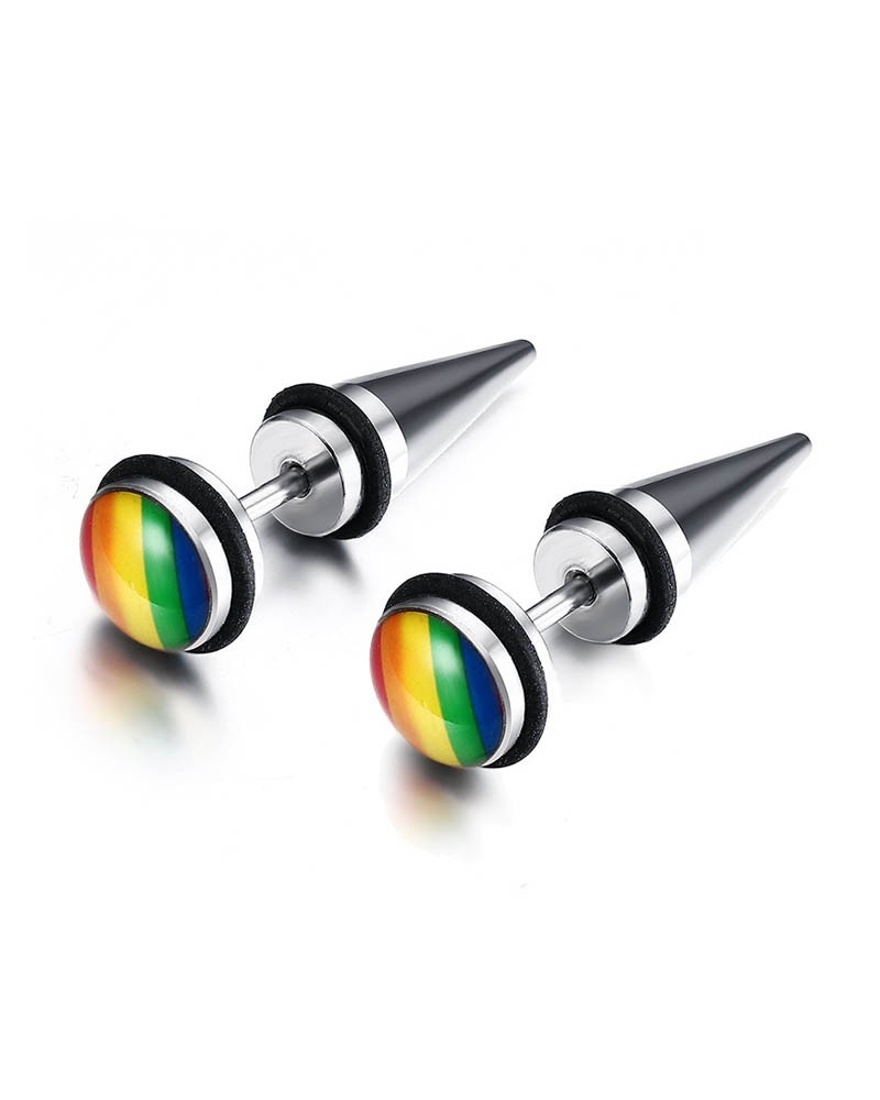 Stainless steel rainbow earrings