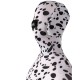 Dalmatian Dog Pattern Costume
