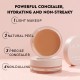 Concealer palette flawless long-lasting coverage without caking