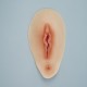 Silicone Faux vagina pad MtF
