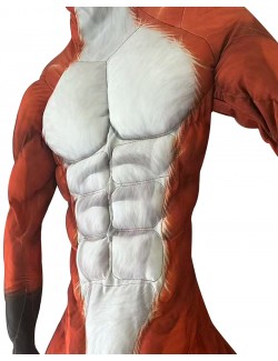 Anime Fox Pattern Muscle Petsuit