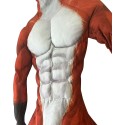 Anime Fox Pattern Muscle Petsuit