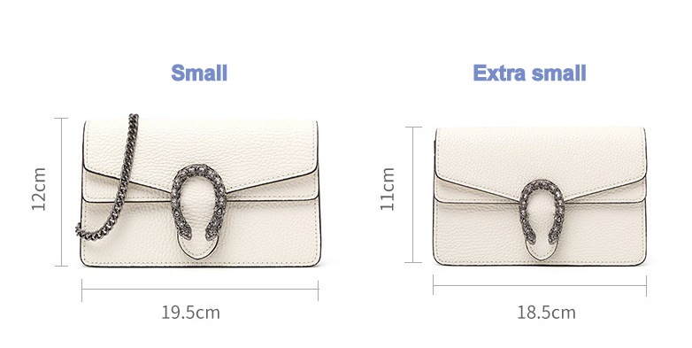 2020 trendy mini chain leather handbags in 2 seizs